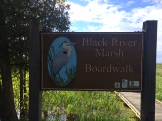 Black River Marsh Boardwalk sign.