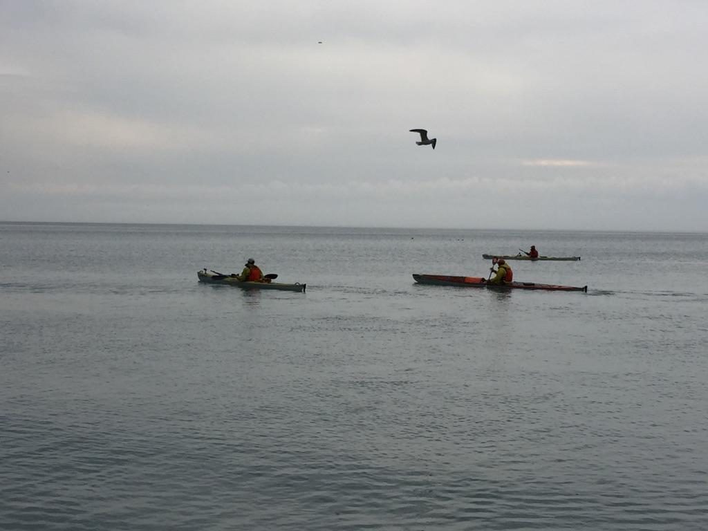 3 kayakers paddling by Klode Park with a seagull over head.