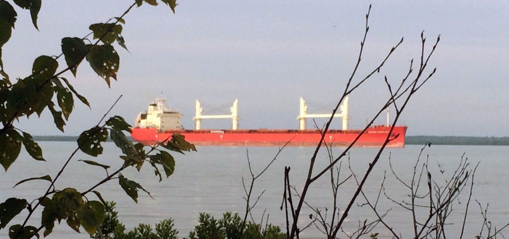 Shipping vessel viewed from shore at Dunbar Park, Michigan.